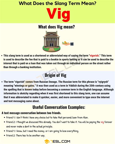 whats a vig.